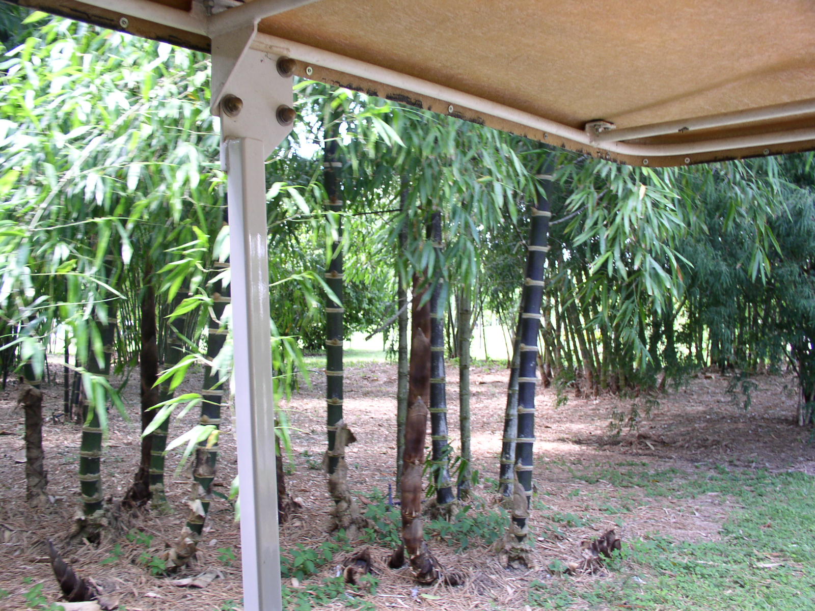 photo1